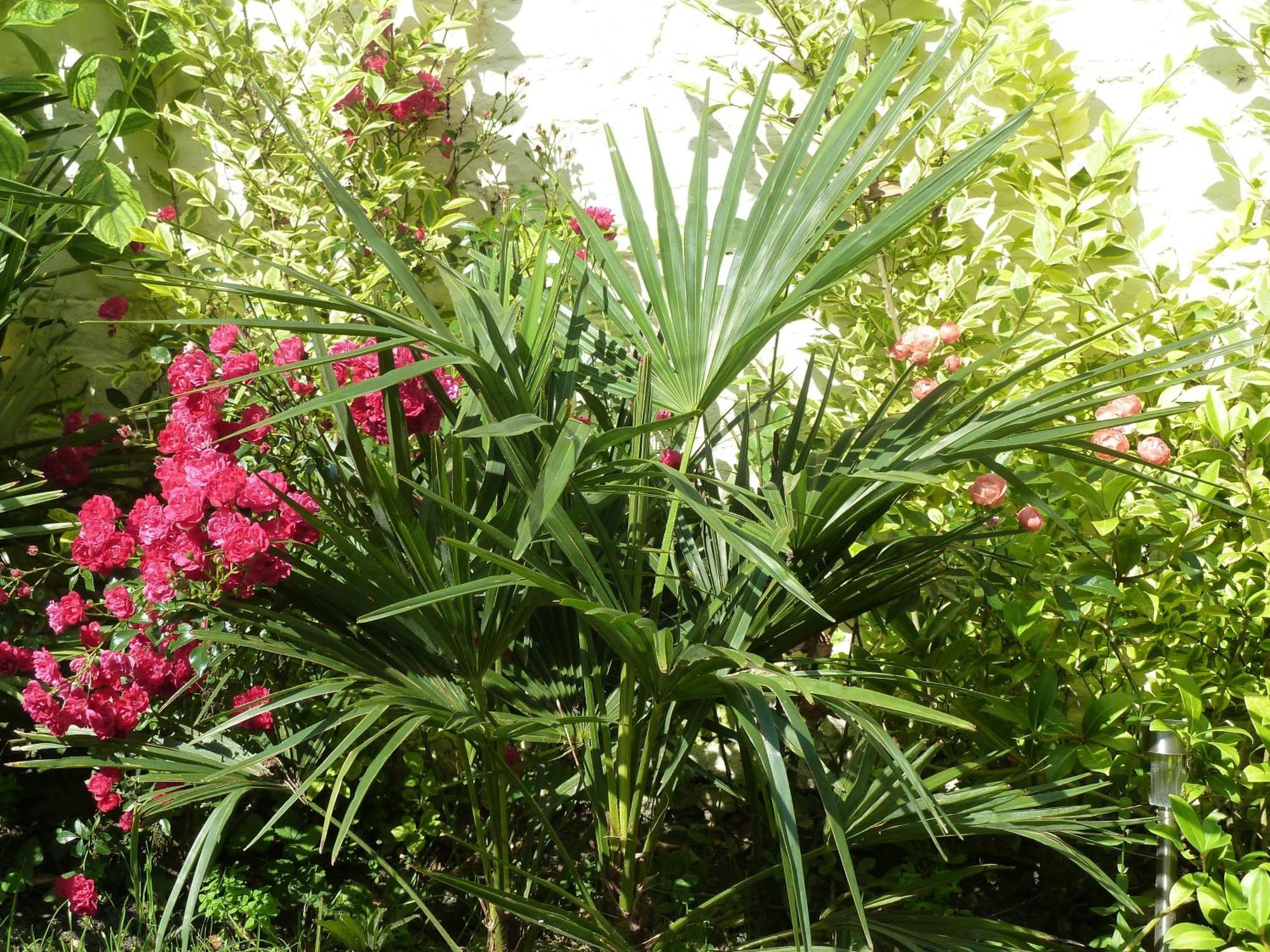 A La Fleur D Oranger - Lille La Madeleine Panzió Kültér fotó